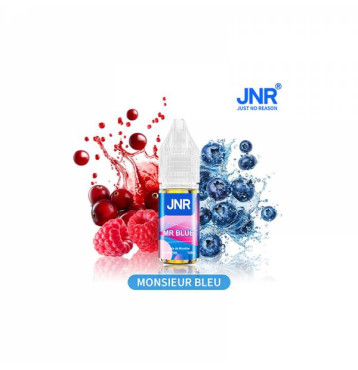 MR BLUE (20 mg Sel de nicotine) 10ML - JNR