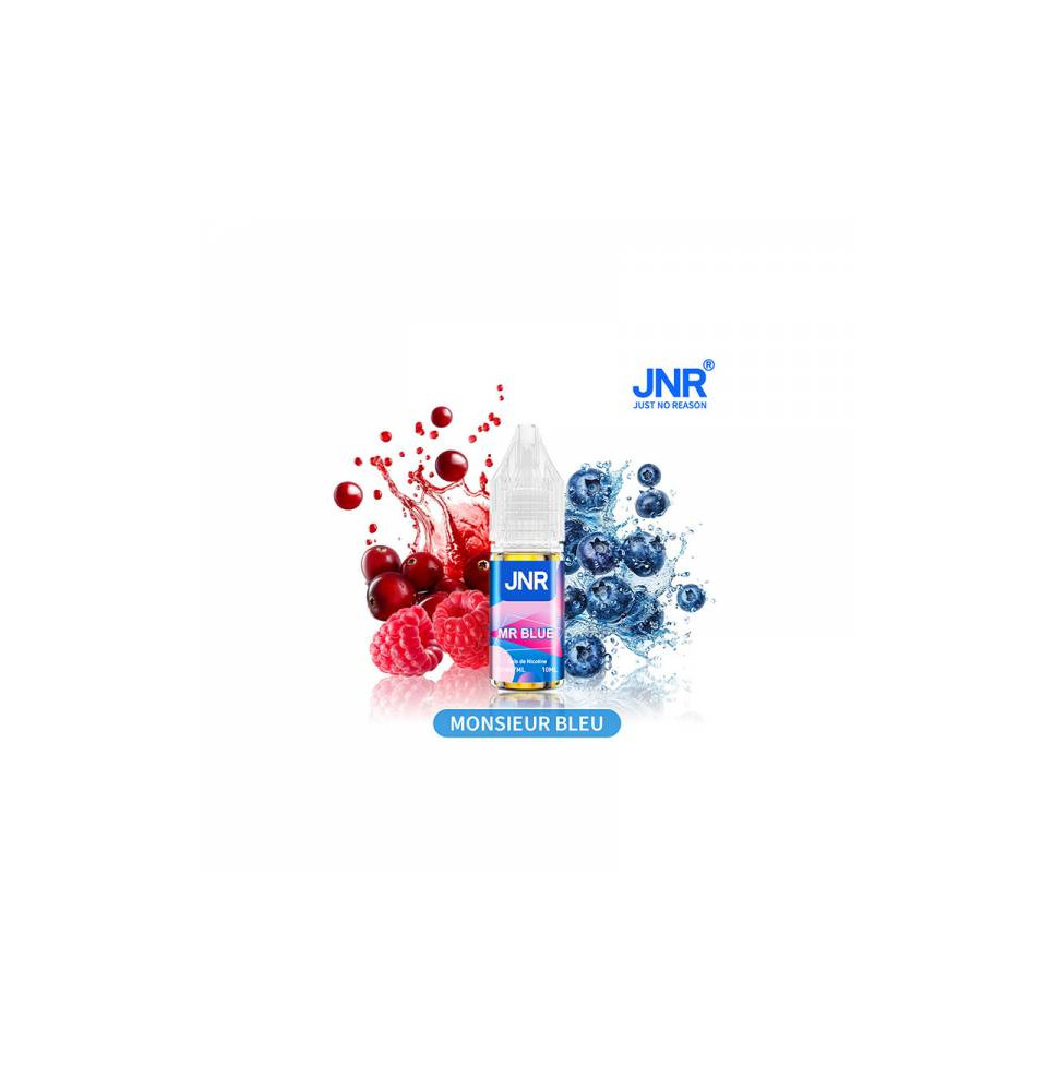 MR BLUE (20 mg Sel de nicotine) 10ML - JNR